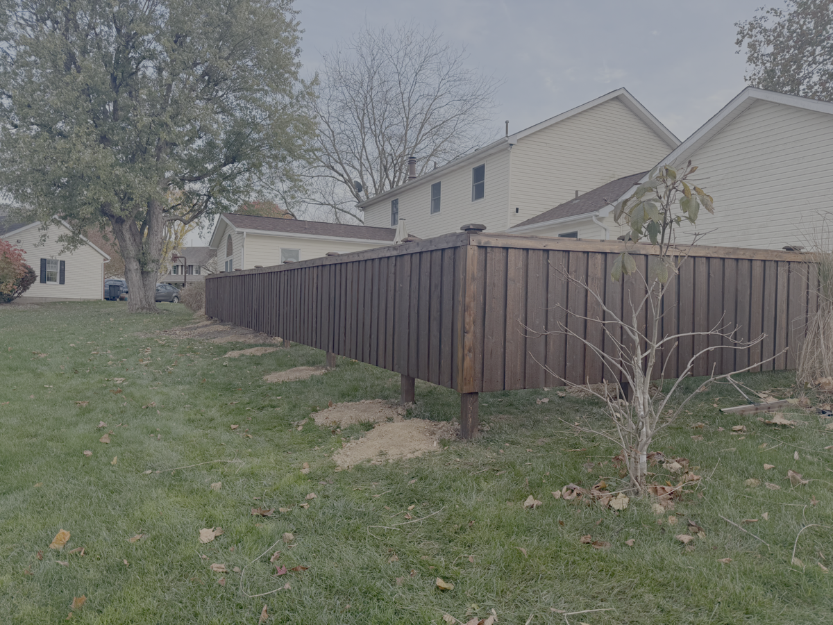 Freshly stained fence