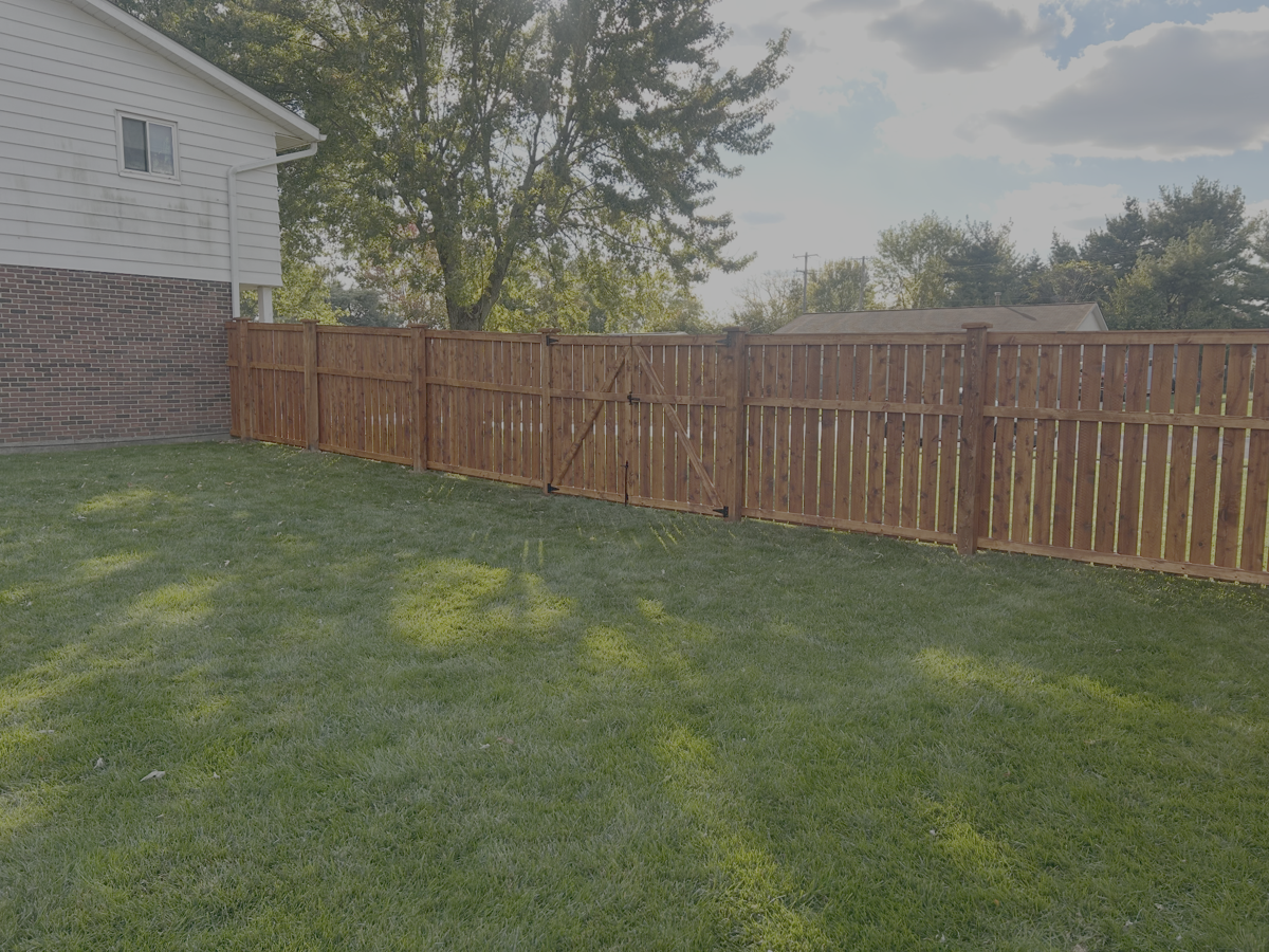 Freshly stained fence