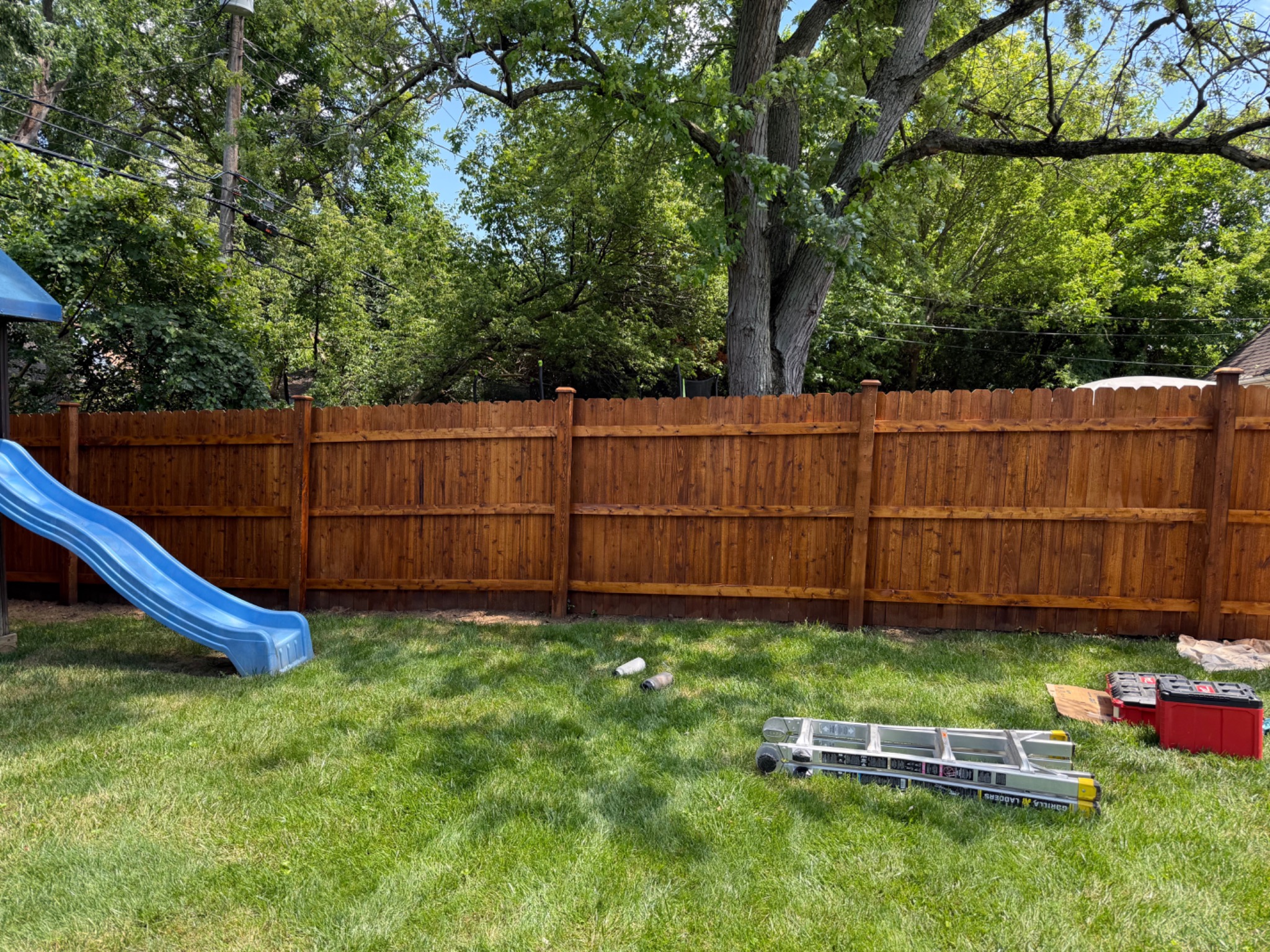 After staining project 2