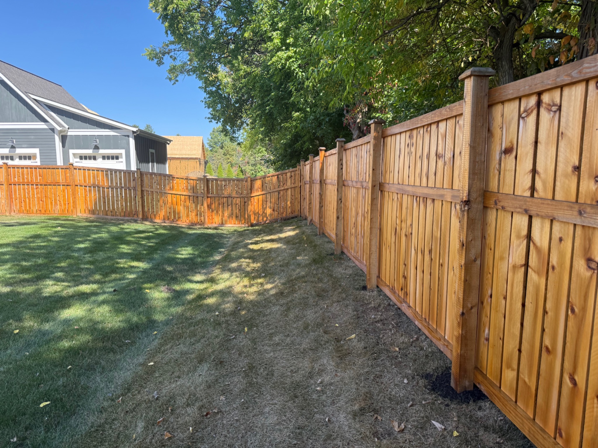 After staining project 6