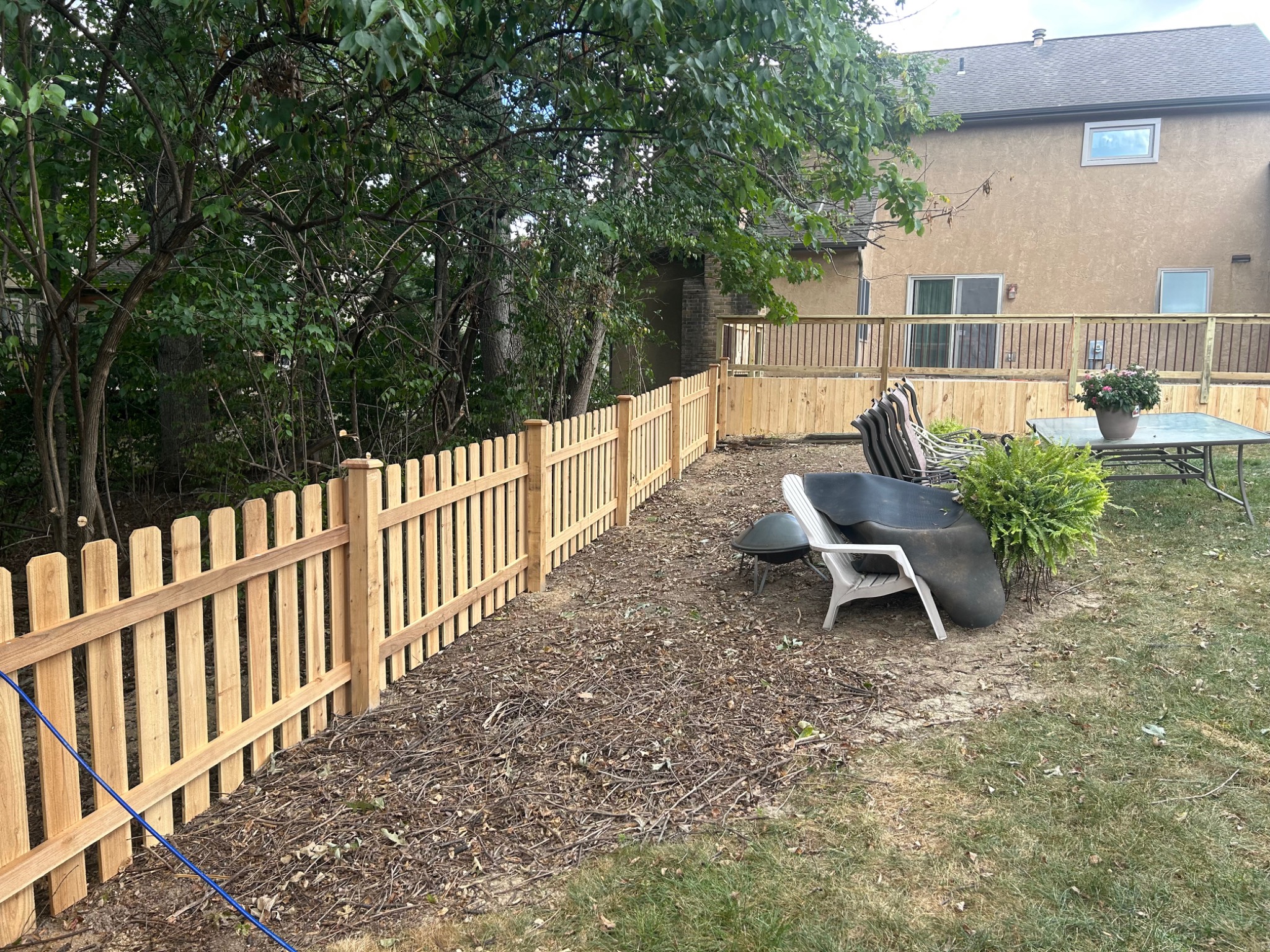 Before staining project 4