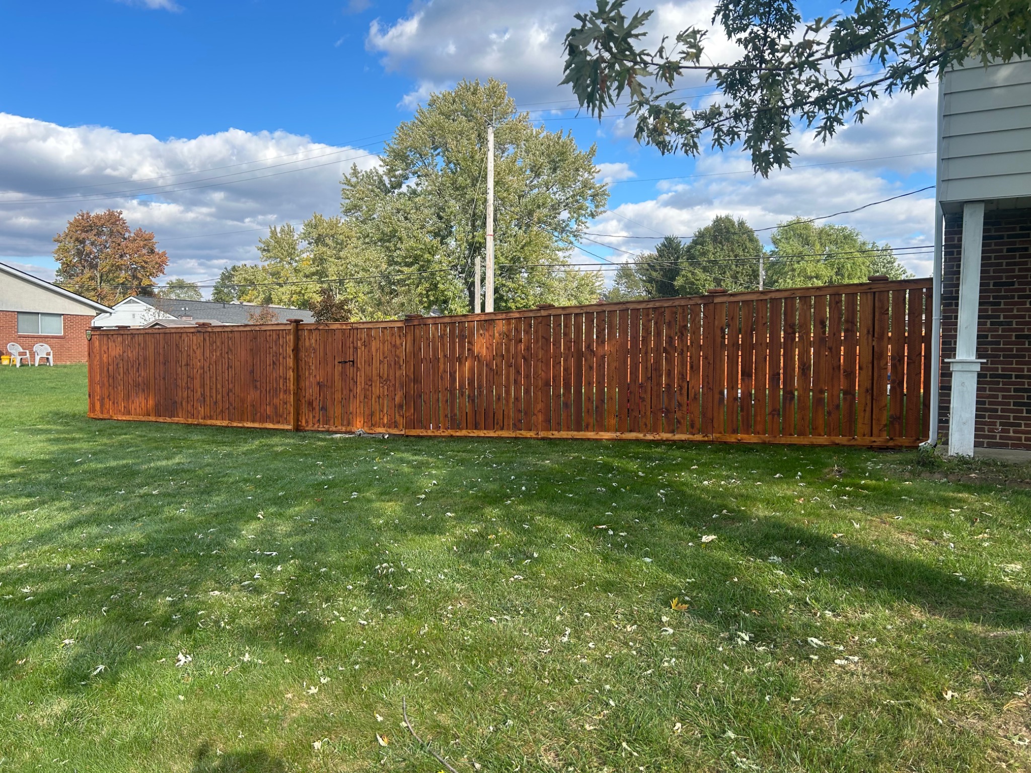 Freshly stained backyard fence